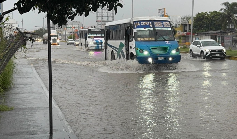Servicio urbano en Veracruz reanuda actividades tras interrupción
