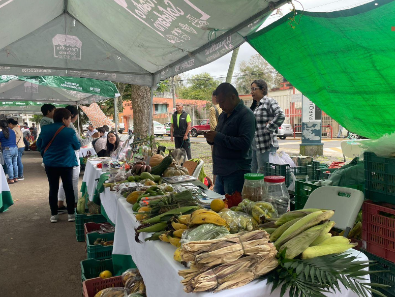 Instalan mercadito solidario en Parque Los Berros Xalapa