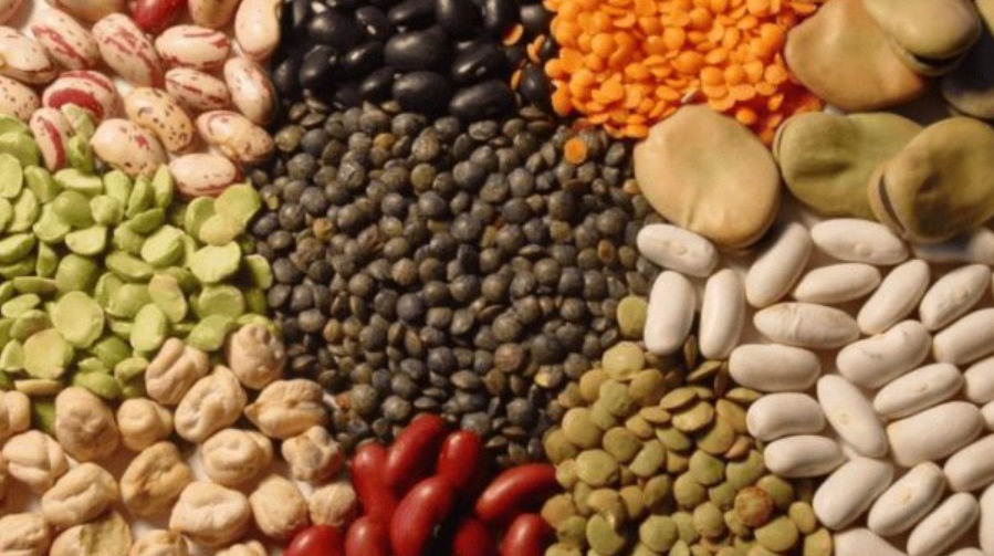 Agrobiodiversidad vegetal: clave para la alimentaciÃƒÂ³n en MÃƒÂ©xico