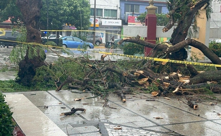 CaÃƒÂ­da de ramas en Coatzacoalcos perjudica a boleros locales