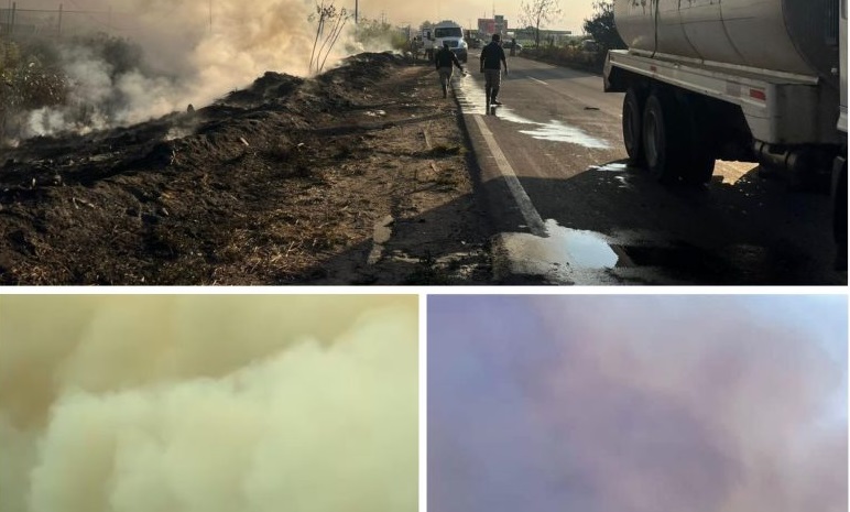 Incendios en Coatzacoalcos arrasan ecosistemas y fauna regional