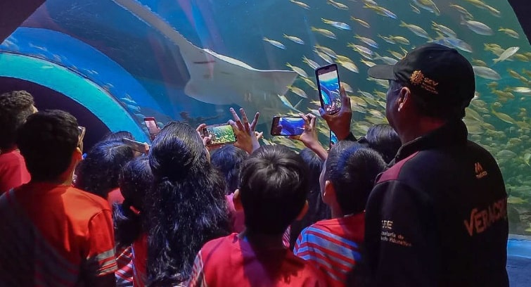 Martes gratis en el Acuario del Puerto de Veracruz