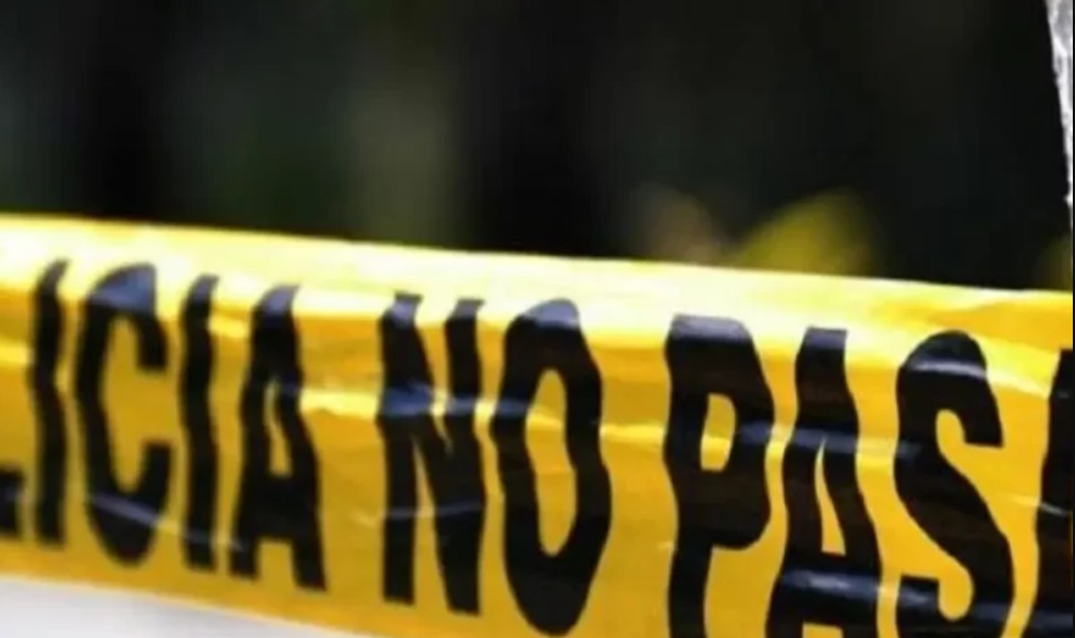 PolicÃÂas estatales heridos tras accidente con un árbol en Xalapa