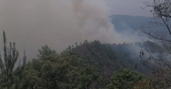PrevenciÃƒÂ³n de incendios: la mayorÃƒÂ­a son causados por humanos