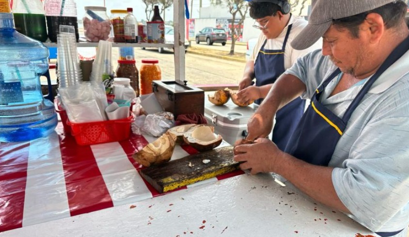 Vendedores de cocos piden apoyo para aumentar ventas en Semana Santa